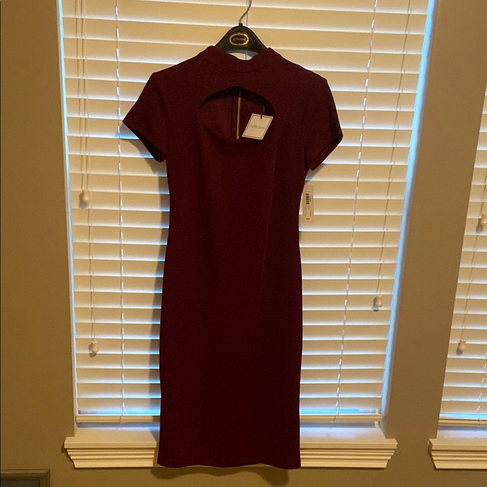 Elegant Burgundy Dress